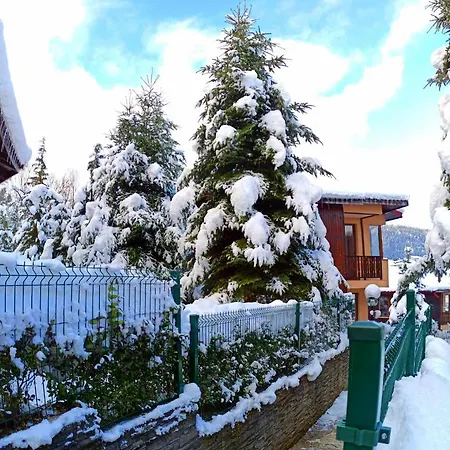 Rodopi 4* تشبيلار