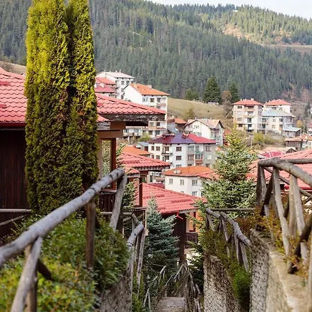 Rodopi 4*